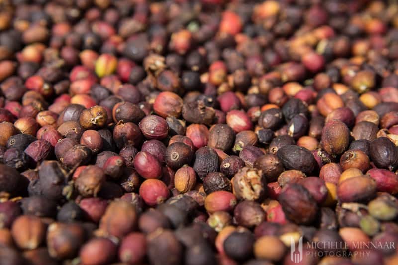 Beans Coffee 